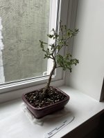 IMG_0886.jpeg