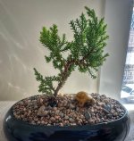 IMG_7380.jpeg