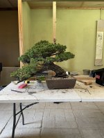 IMG_7755.jpeg