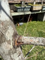IMG_7542.jpeg