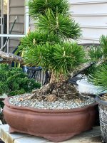 IMG_8566.jpeg