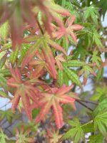 IMG_2059.jpeg