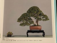 IMG_4191.jpeg