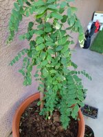 20250325_065722.jpg