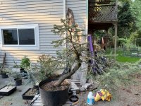 IMG_0040.jpeg