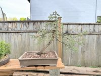 IMG_0477.jpeg