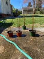 IMG_1155.jpeg