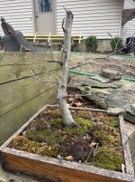 IMG_1601.jpeg