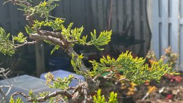 IMG_5573.jpeg