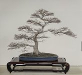 IMG_5212.jpeg