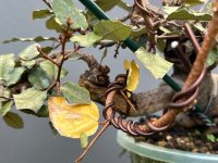 IMG_2718.jpeg