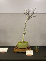 IMG_2845.jpeg