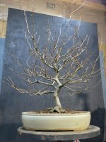 IMG_4527.jpeg