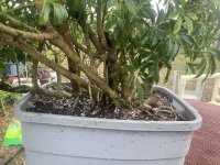 IMG_9073.jpeg