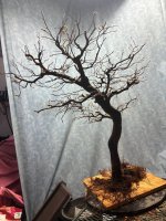 IMG_0109.jpg