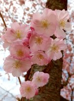 IMG_20250403_153408.jpg