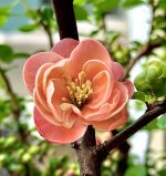 IMG_3181.jpeg