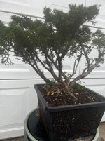 IMG_1662.jpeg