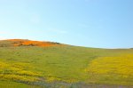 DSC_00300005.JPG