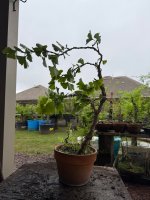 IMG_7666.jpeg
