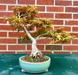 IMG_4165.jpeg