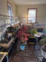 IMG_1497.jpeg
