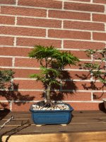 IMG_8958.jpeg