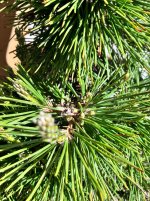 IMG_8669.jpeg