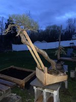 IMG_7994.jpeg