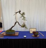 IMG_4657.jpeg