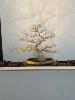IMG_4648.jpeg