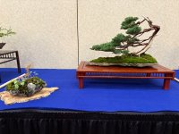 IMG_8531.jpeg