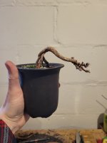 20250413_122313.jpg