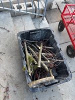 IMG_6368.jpeg