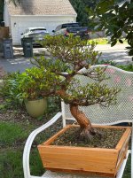 IMG_3233.jpeg