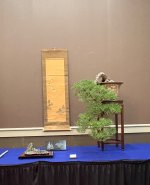 IMG_4659.jpeg