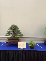 IMG_4658.jpeg