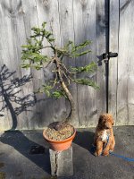 IMG_1534.jpeg