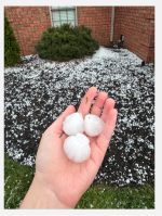 1744818373691.png 1744818373691.png