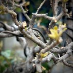 IMG_0812.jpeg