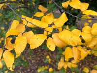 IMG_2819.jpeg