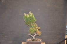 DSC_2520.JPG