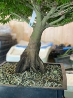 IMG_4285.jpeg
