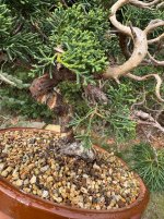 IMG_4770.jpeg