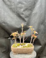 IMG_3606.jpeg
