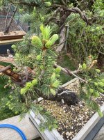 IMG_4815.jpeg