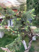 IMG_4816.jpeg
