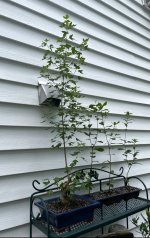 IMG_4857.jpeg