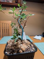 PXL_20250426_032018903~3.jpg