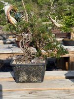 IMG_0163.jpeg IMG_0163.jpeg